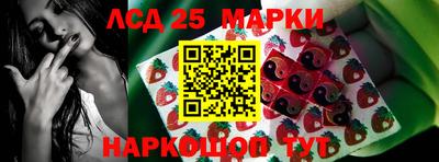 гидра Гусев