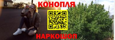 сатива Гусиноозёрск