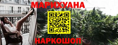 сатива Гусиноозёрск