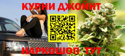 сатива Гусиноозёрск