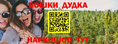 гидра Гусев