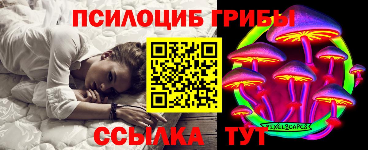 Галлюциногенные грибы прущие грибы Кушва