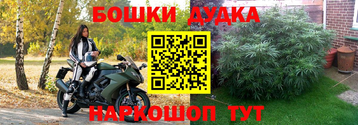 Канабис OG Kush Кушва